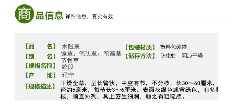 木贼草2 (1)_副本.jpg