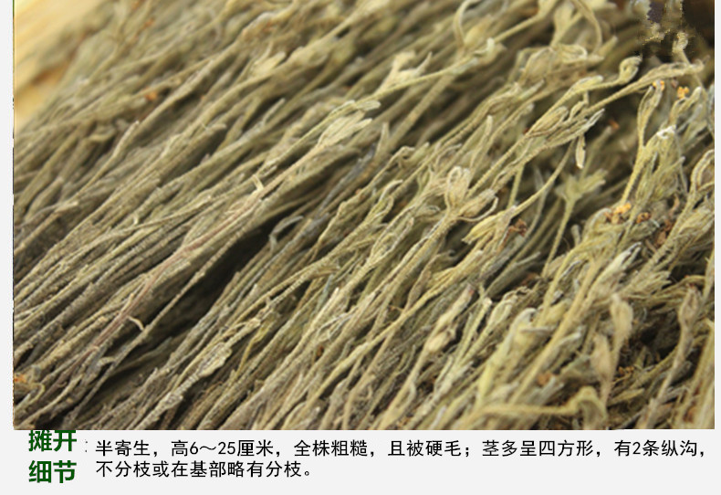 独脚金4.jpg