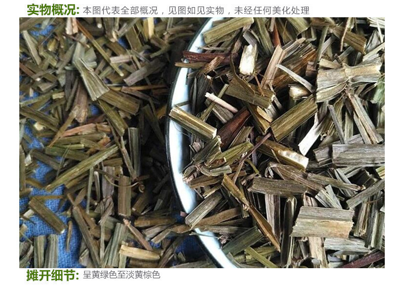 筋骨草4.jpg