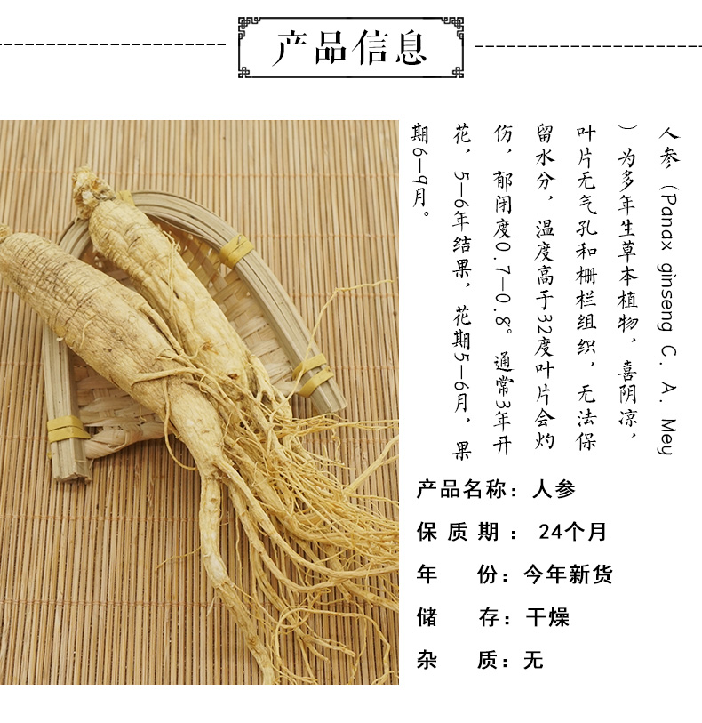 人参1_02.jpg