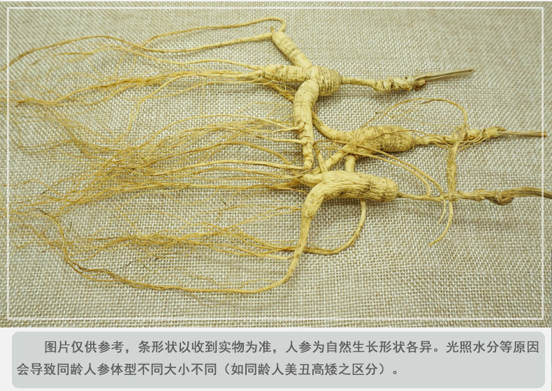 林下籽参详情6.jpg