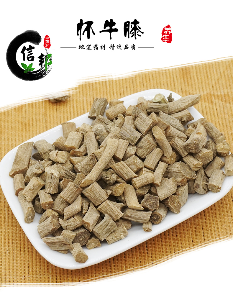 怀牛膝_01.jpg