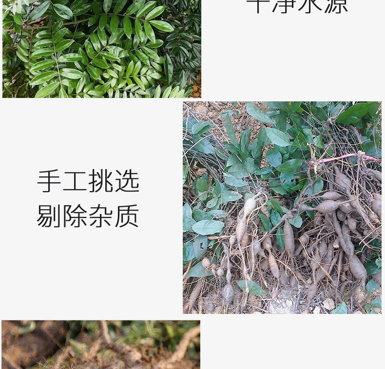 牛大力详情_04.jpg