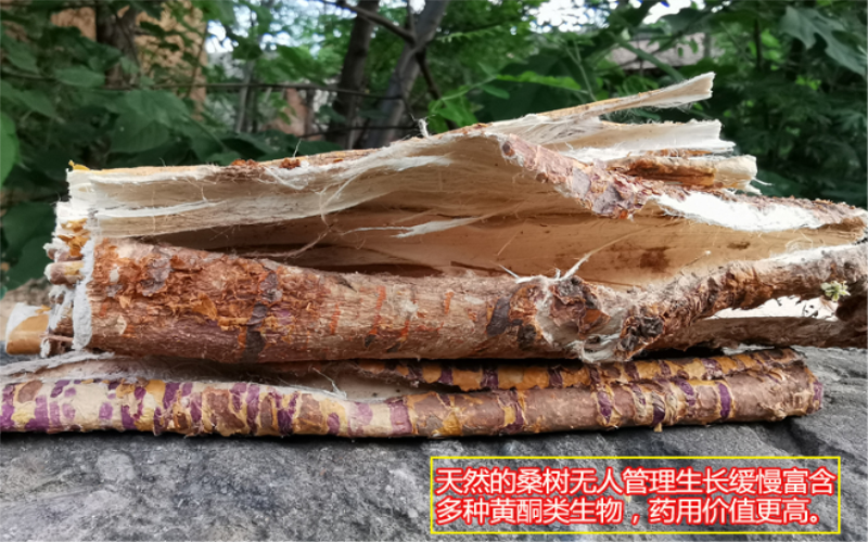 QQ截图20190824074511.png