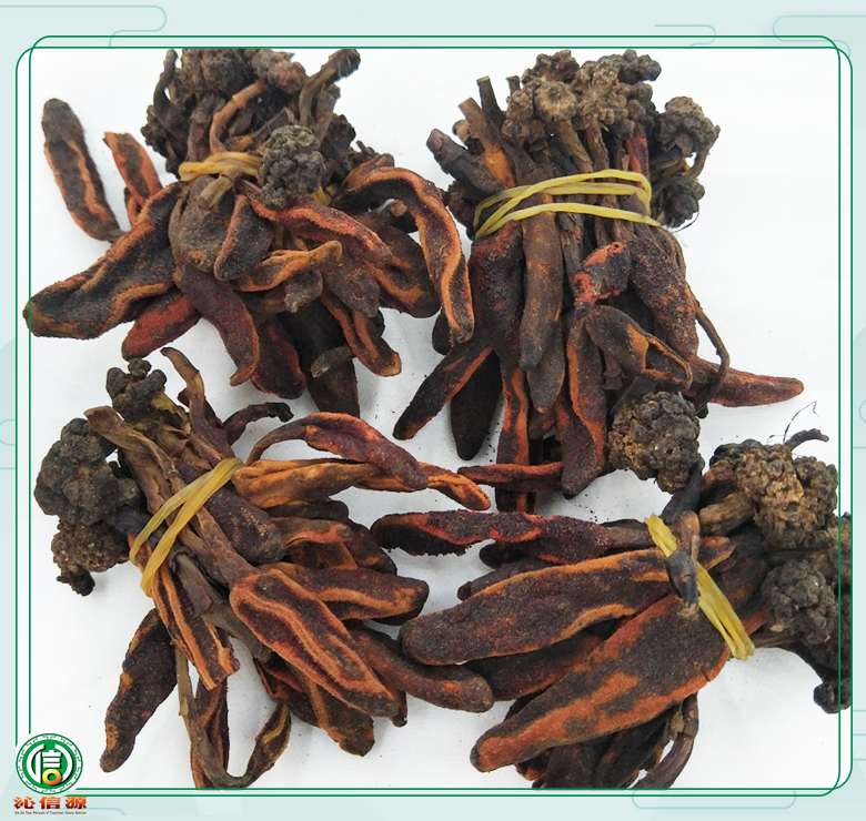 huichuncaoxiaogekunbatong010.jpg