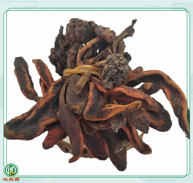 huichuncaoxiaogekunbatong012.jpg