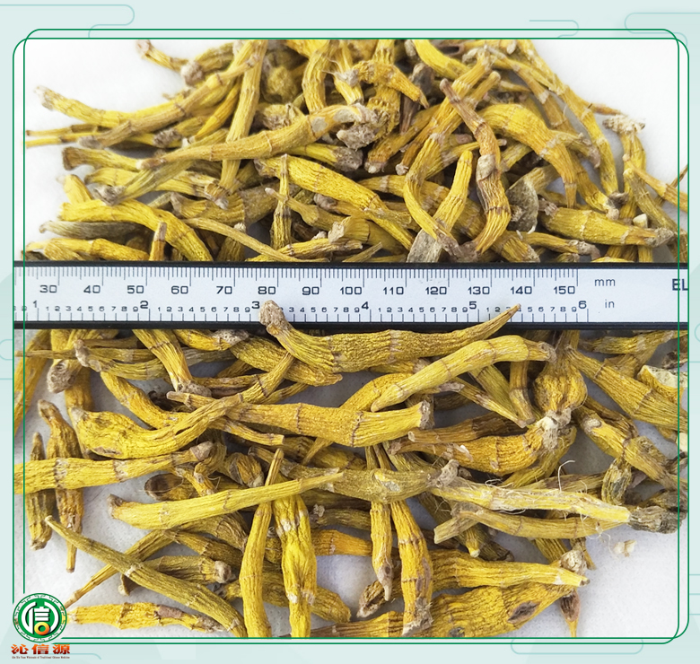 yeshengshihudadingtiao08.jpg