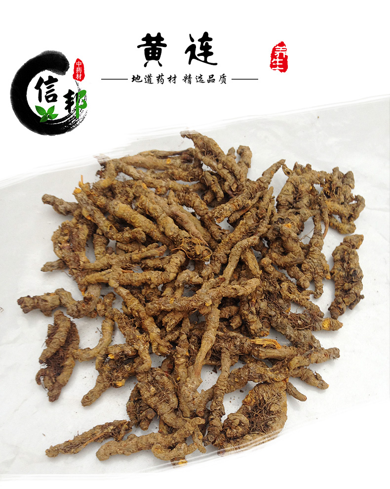 黄连_01.jpg