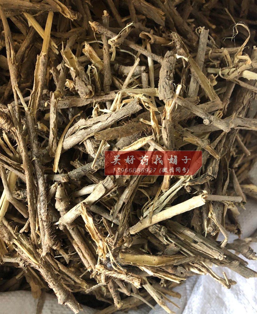 红毛刺五加 抽芯个子130 (2).jpg