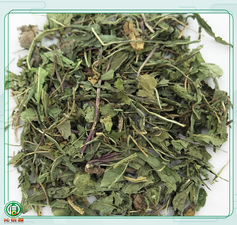 pugongyingyeyaoyong010.jpg