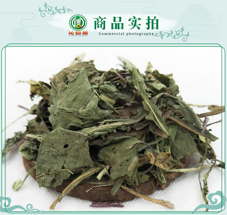 pugongyingyeyaoyong07.jpg