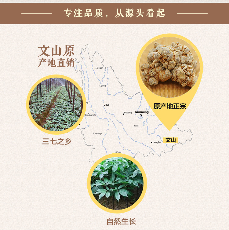 18头三七_13.jpg