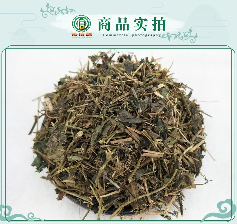 jiaogulanyaoyong07.jpg