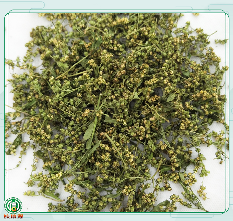 ganhuangcaohuaxuan010.jpg