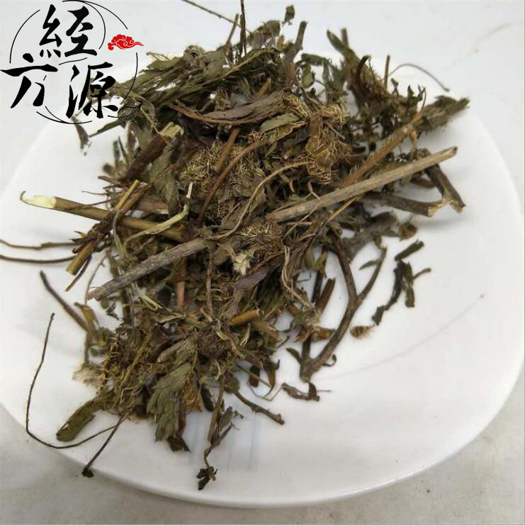 含羞草11.jpg