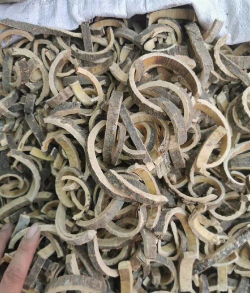 微信图片_20220326170221.jpg