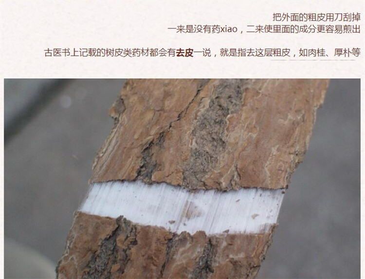 盐杜仲6.jpg