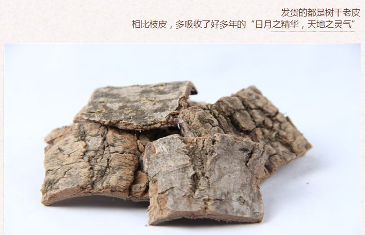 杜仲6_副本.jpg