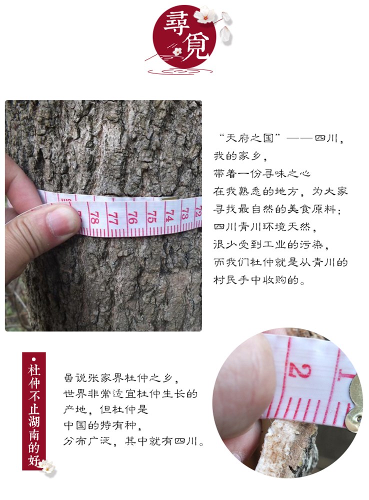 杜仲4.jpg