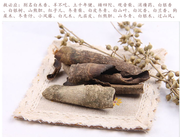救必应3.jpg
