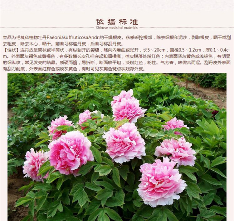 牡丹皮6.jpg