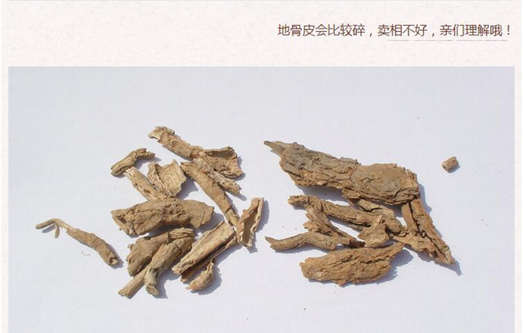 地骨皮5.jpg