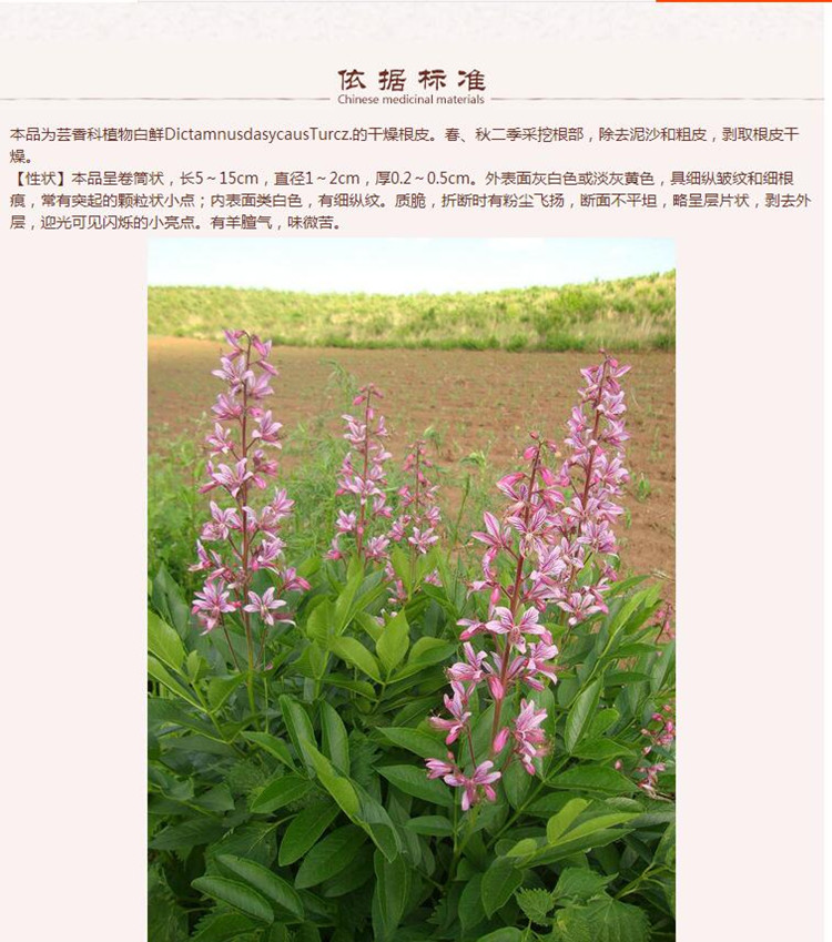 抽芯95%白鲜皮 4.jpg