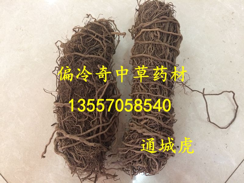 IMG_1605_副本.jpg
