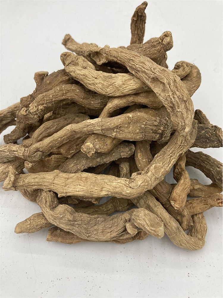 玉竹_06.jpg