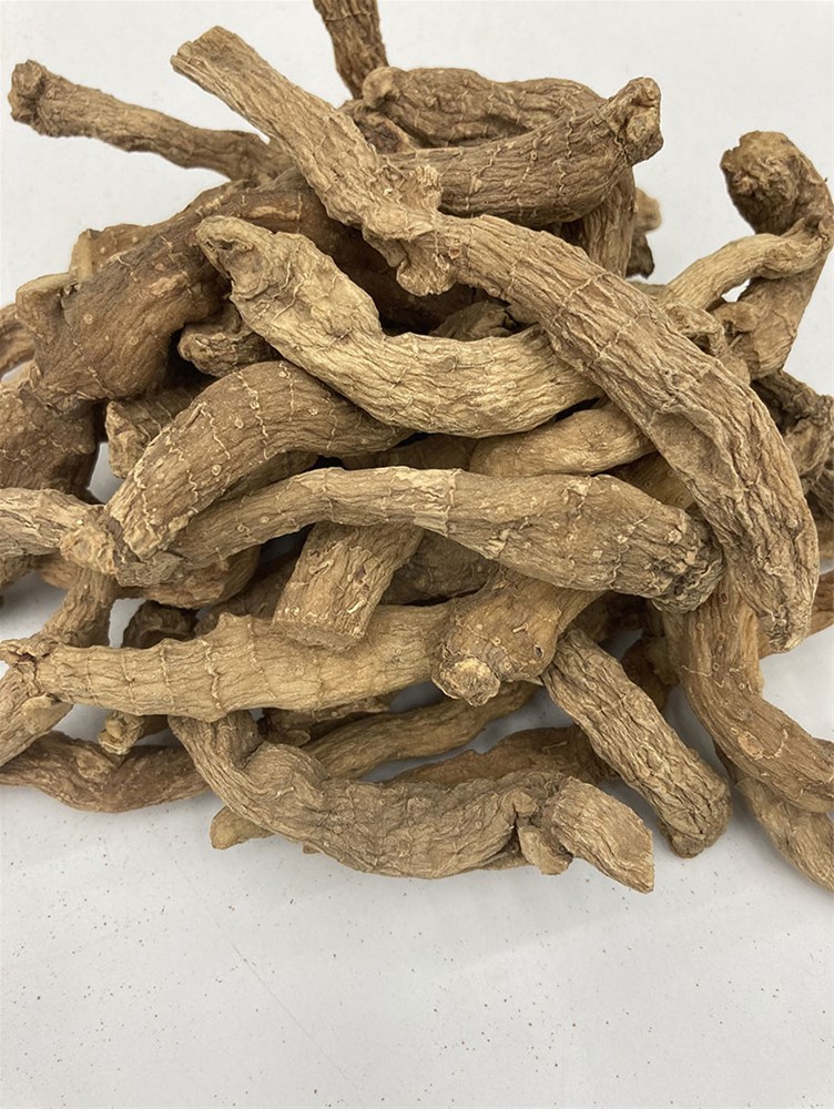玉竹_07.jpg