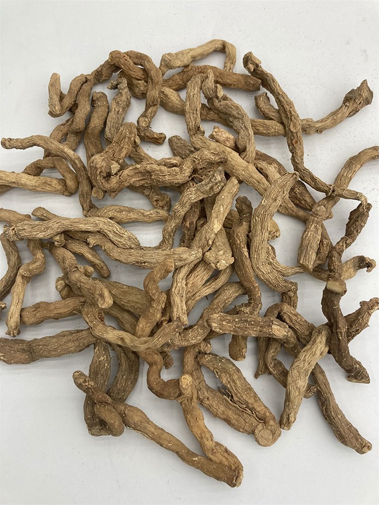 玉竹_03.jpg