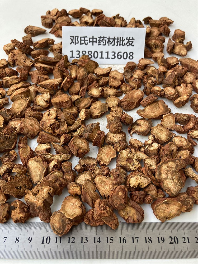 丹参大片_03.jpg