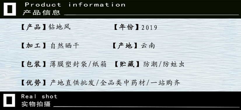 钻地风.gif