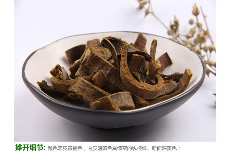 盐黄柏4.jpg