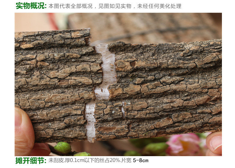 杜仲大块4.jpg
