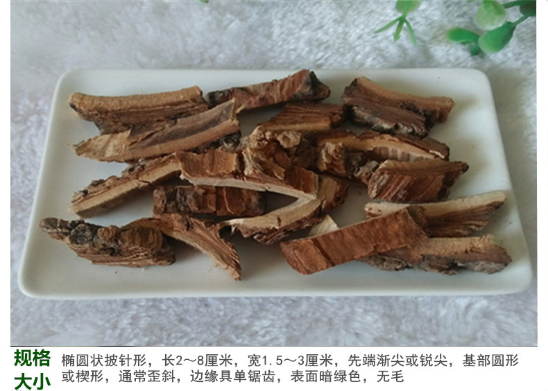 榆树皮5.jpg