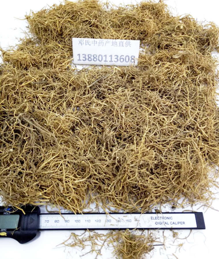 xuchangqingenal09.jpg