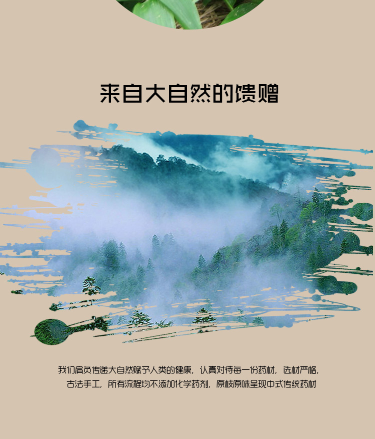 淡竹叶详情页_09.jpg