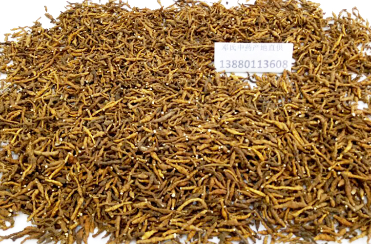 jiujiechangpual016.jpg