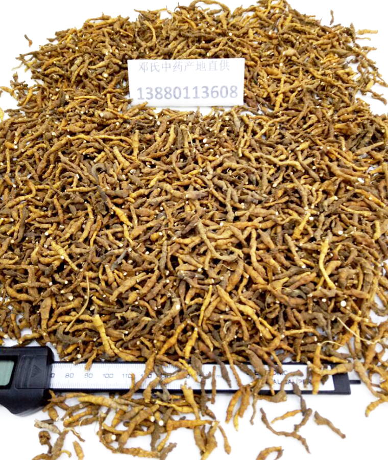 jiujiechangpual010.jpg