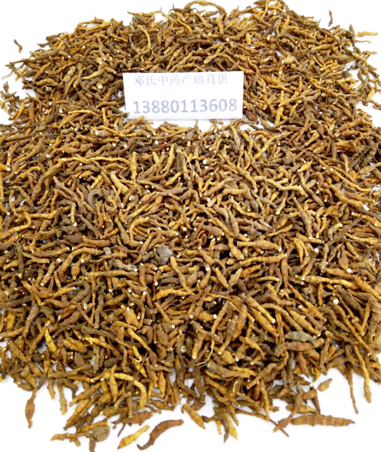 jiujiechangpual09.jpg