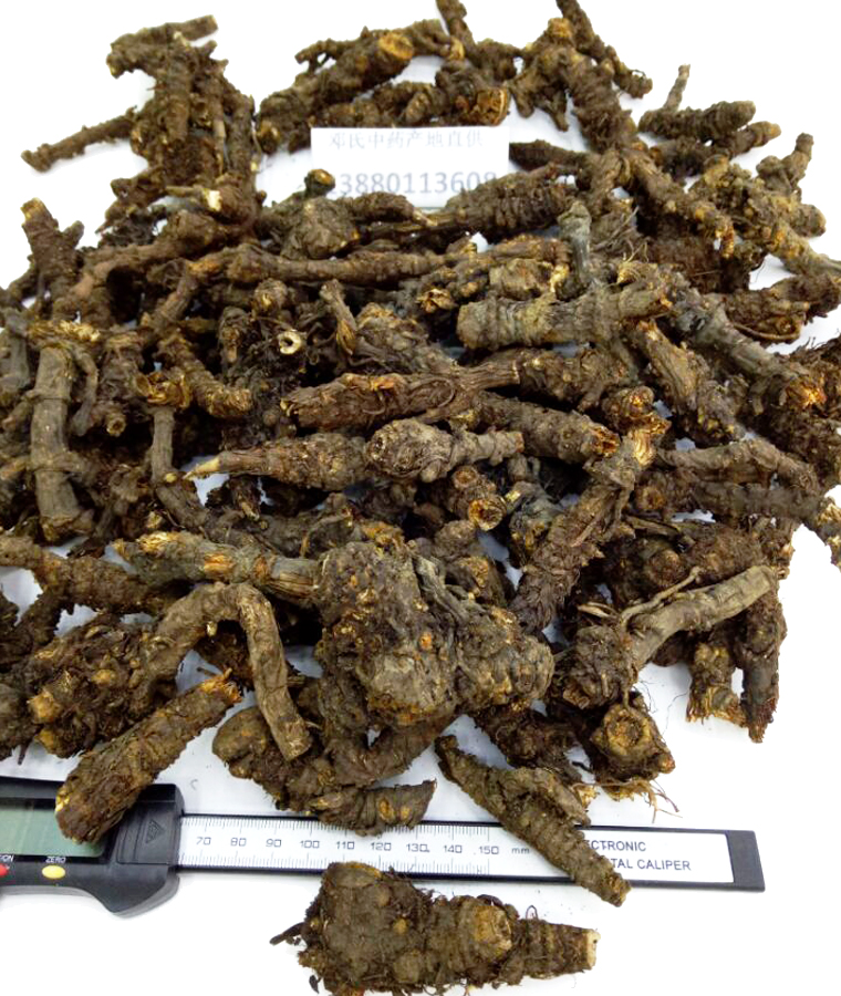 canqiangdaitoual010.jpg