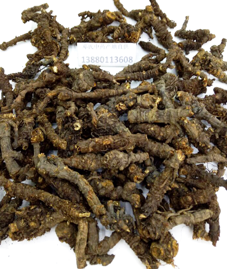 canqiangdaitoual09.jpg