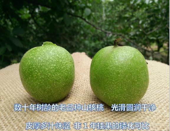 360截图20180529161826779.jpg