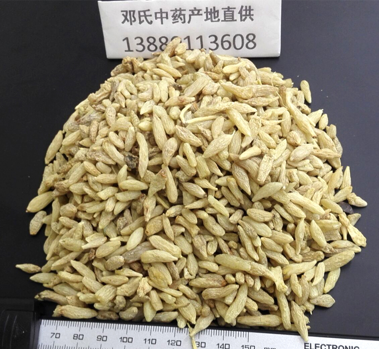 cmdsanjial011.jpg