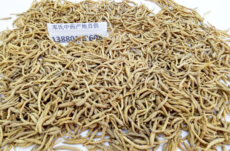 taizishenzhongxuanal012.jpg