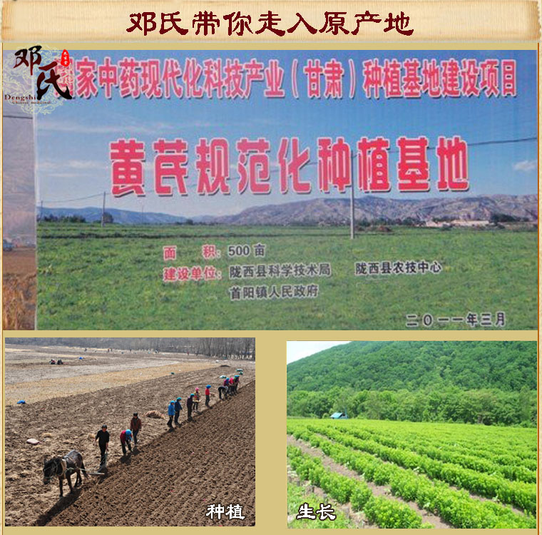 huangtiao012.jpg