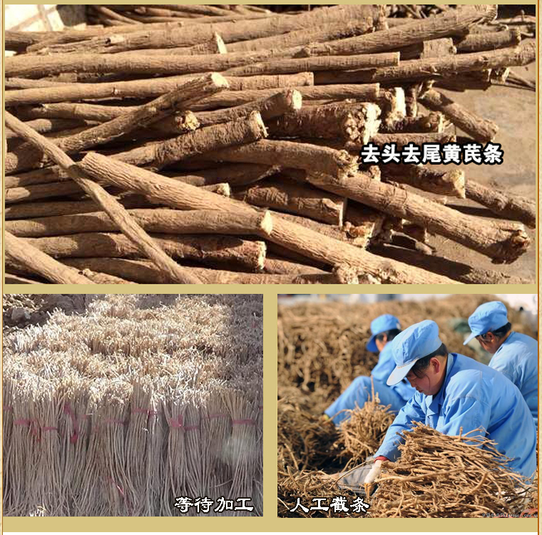 huangtiao038.jpg