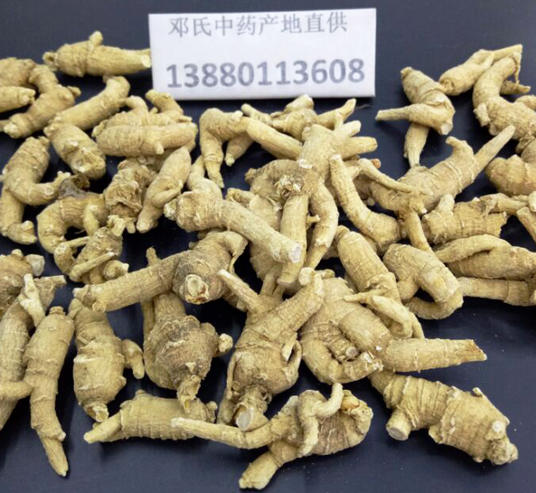 shandongxiyangshen3keyuancongal015.jpg