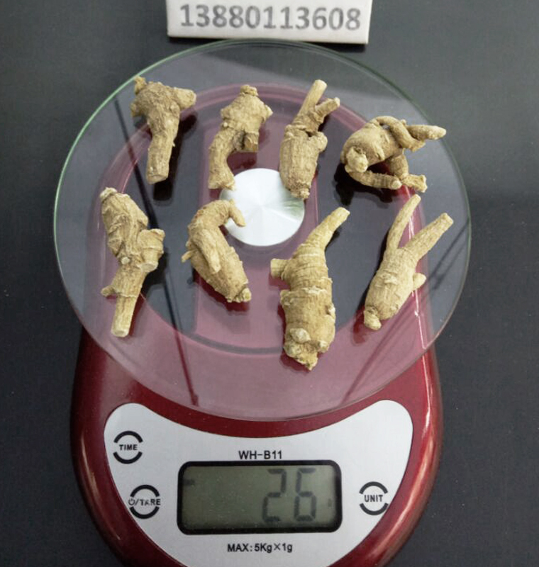 shandongxiyangshen3keyuancongal019.jpg